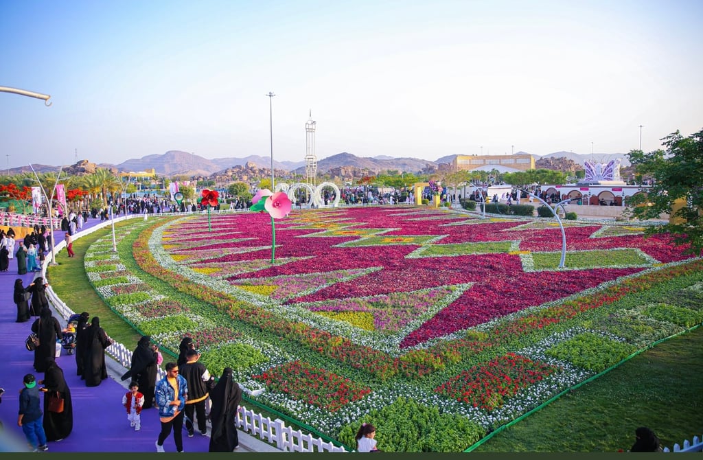 تاريخ الورود