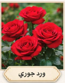باقة ورد جوري