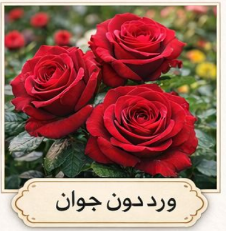 باقة ورد دون جوان